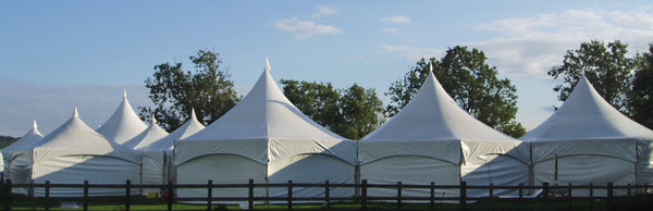 Linked marquees